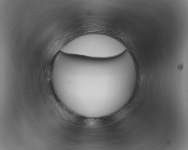 X0000110950273200906191122