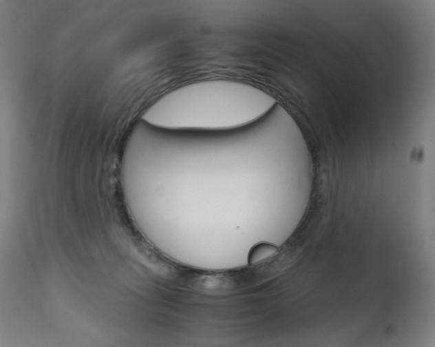 X0000110950275200906191122