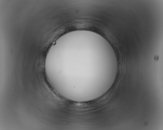 X0000110950277200906191122