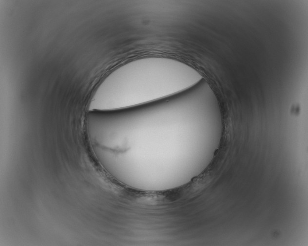 X0000110950278200906191122