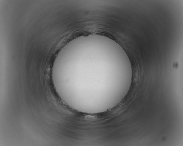 X0000110950279200906191122