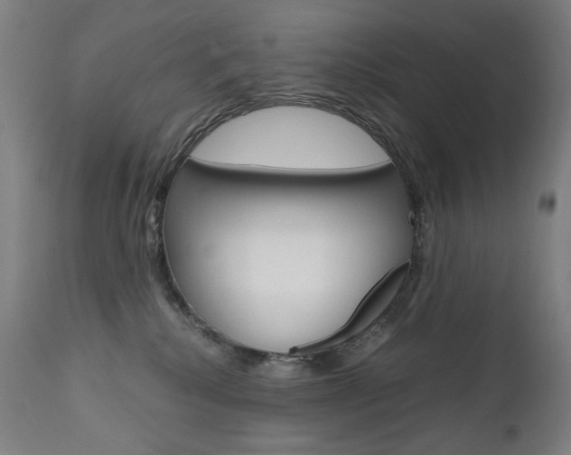 X0000110950280200906191122