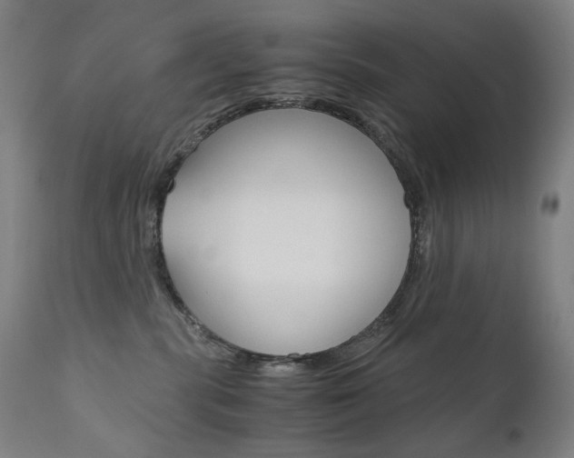 X0000110950283200906191122