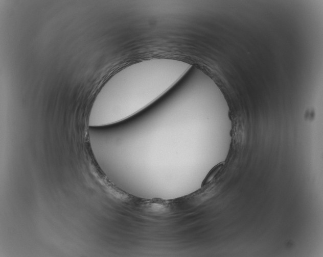 X0000110950285200906191122