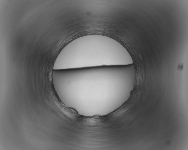 X0000110950286200906191122