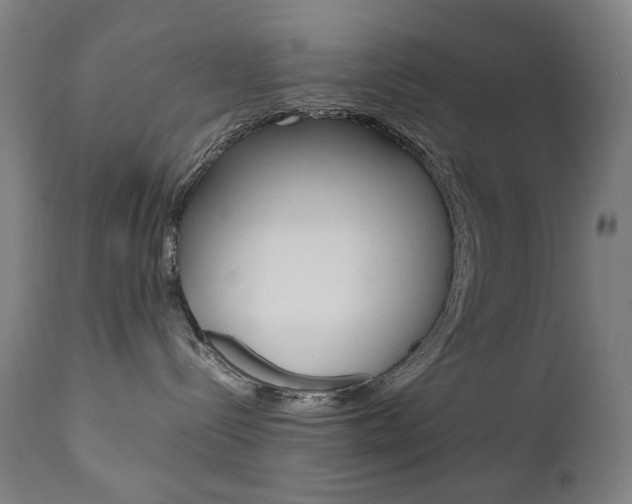 X0000110950288200906191122