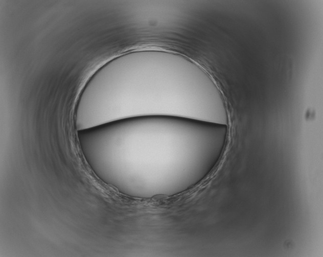 X0000110950289200906191121