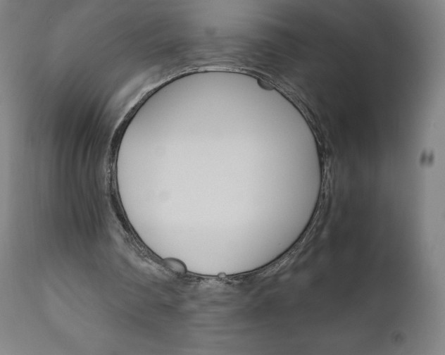 X0000110950290200906191121