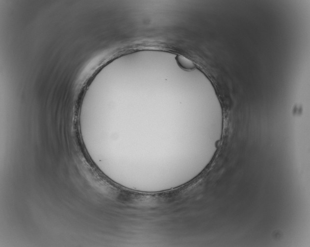 X0000110950293200906191121