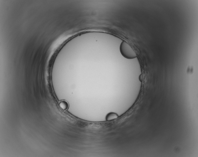 X0000110950294200906191121