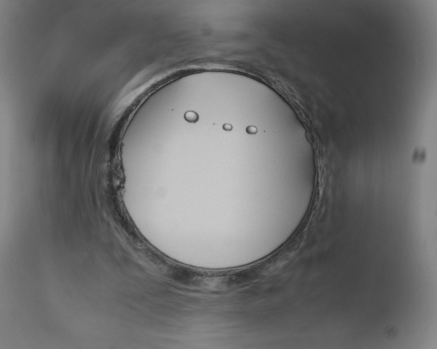 X0000110950295200906191121