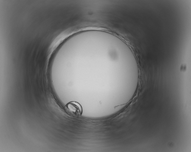 X0000110950296200906191121