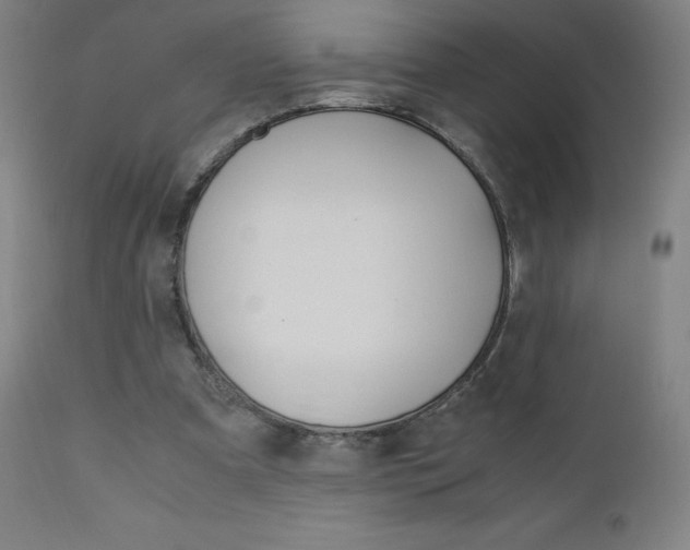 X0000110950297200906191121