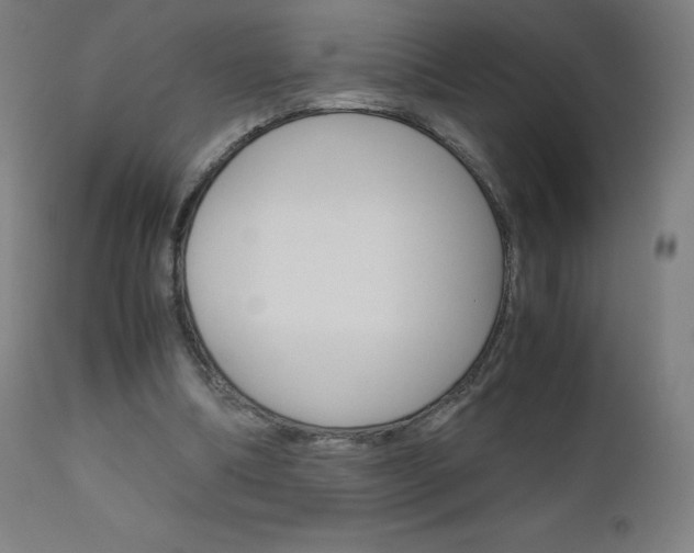 X0000110950298200906191121
