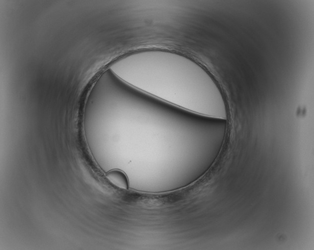 X0000110950299200906191121