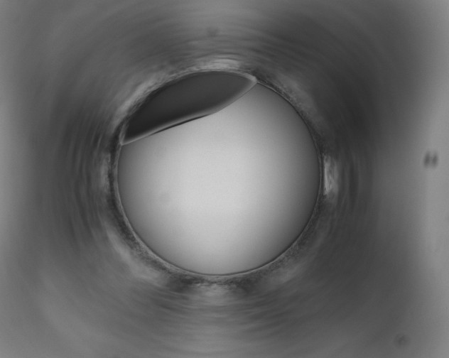 X0000110950300200906191121