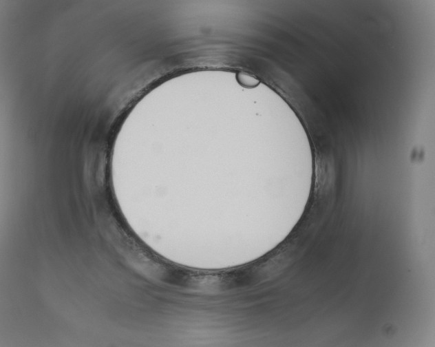 X0000110950301200906191121