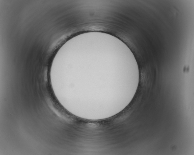 X0000110950302200906191121