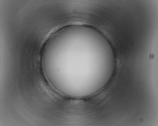 X0000110950304200906191121