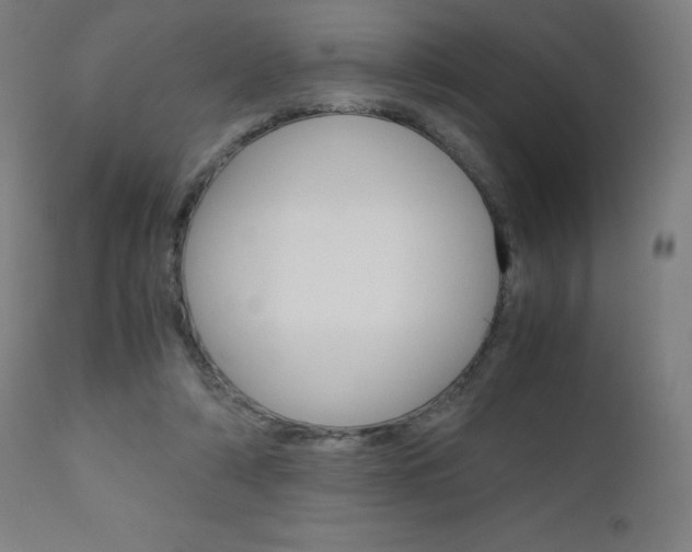 X0000110950306200906191121