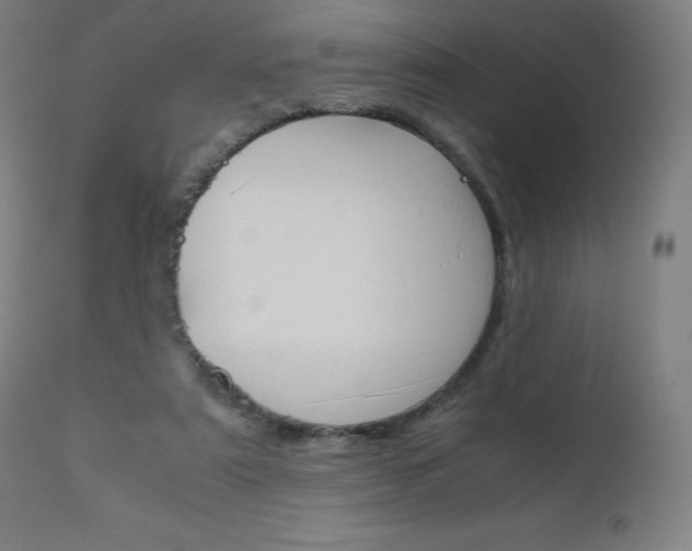 X0000110950307200906191121