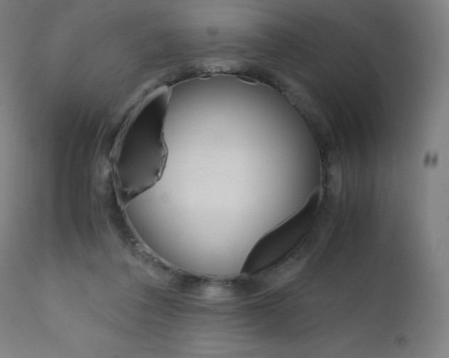 X0000110950308200906191121
