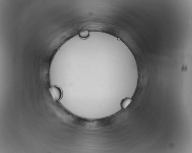 X0000110950309200906191121