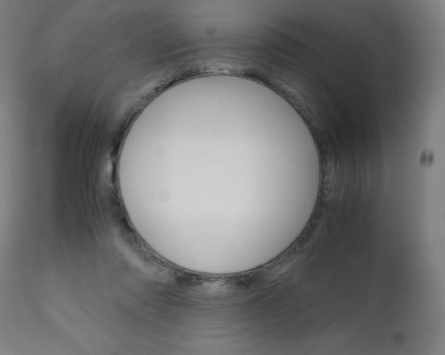 X0000110950310200906191121