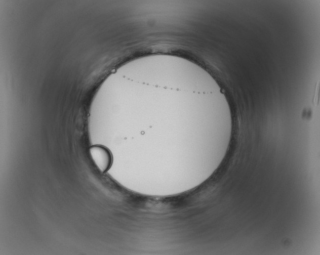 X0000110950311200906191121