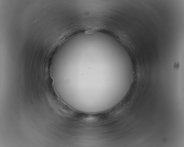 X0000110950312200906191121