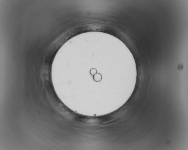 X0000110950313200906191121