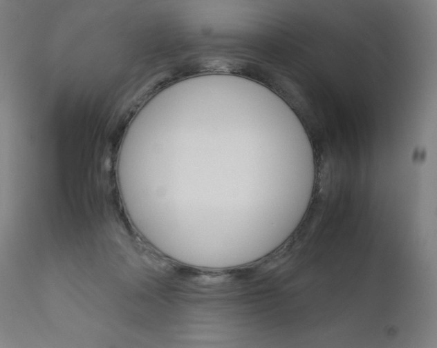 X0000110950314200906191121