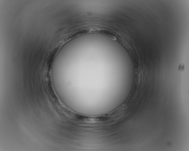 X0000110950316200906191121