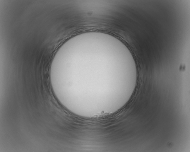 X0000110950317200906191121