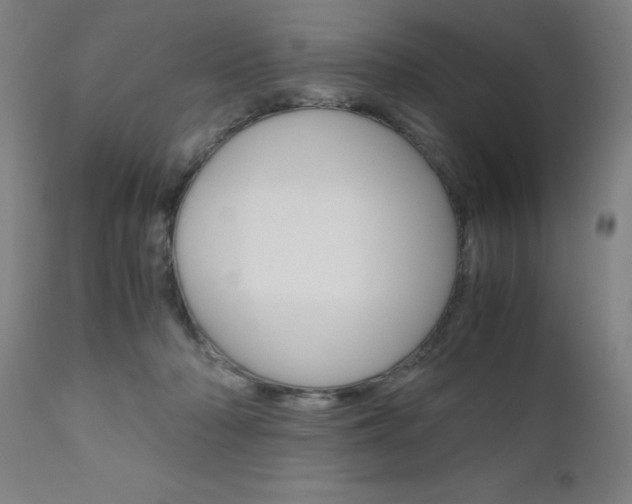 X0000110950318200906191121
