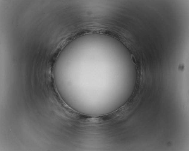X0000110950320200906191121