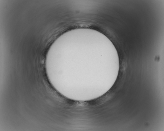 X0000110950321200906191121