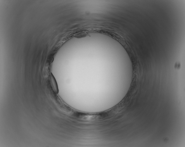 X0000110950323200906191121