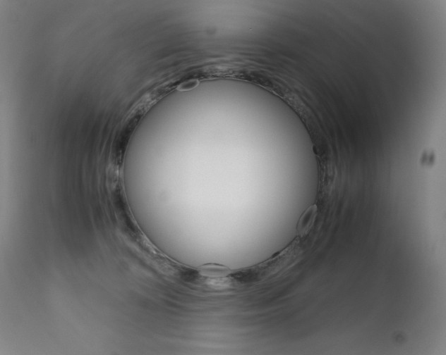 X0000110950324200906191121