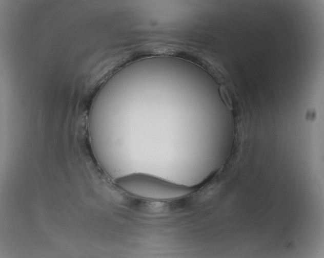 X0000110950325200906191121