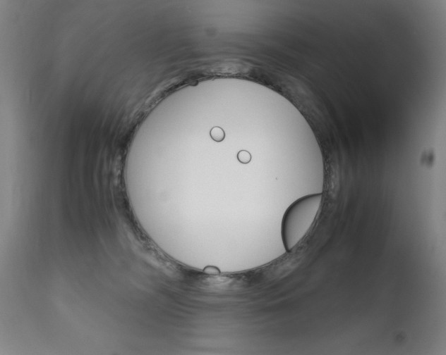 X0000110950326200906191121