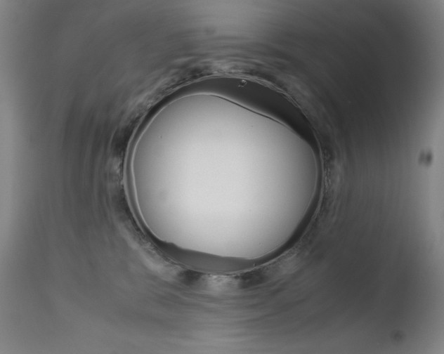 X0000110950327200906191121