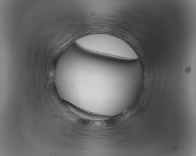 X0000110950329200906191121