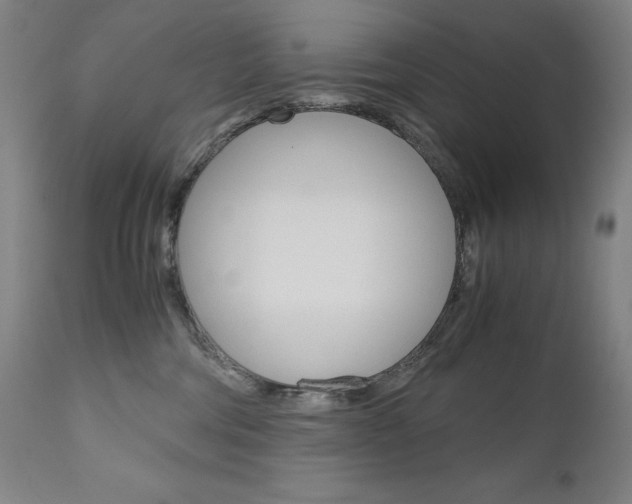 X0000110950330200906191121