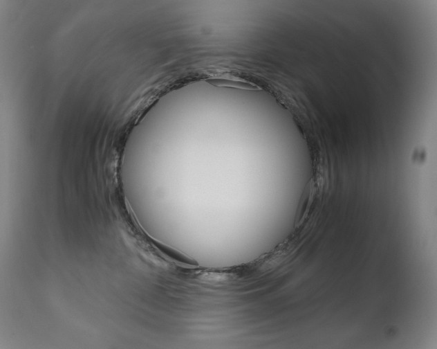 X0000110950332200906191121