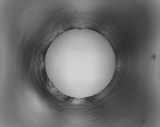 X0000110950334200906191121
