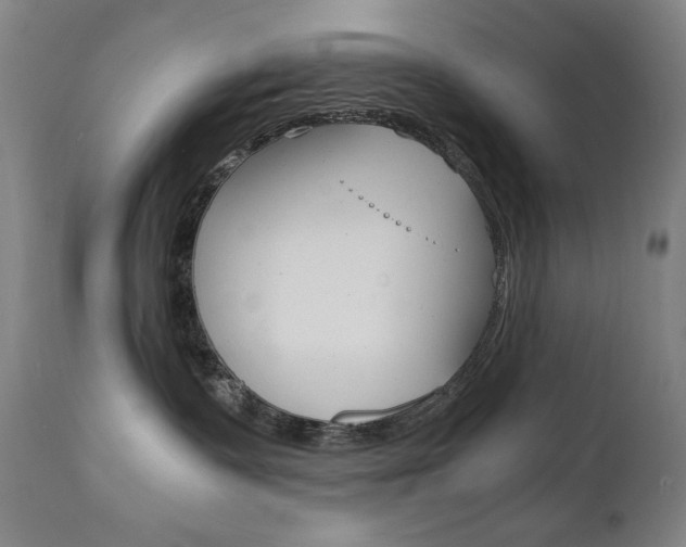 X0000110950335200906191121