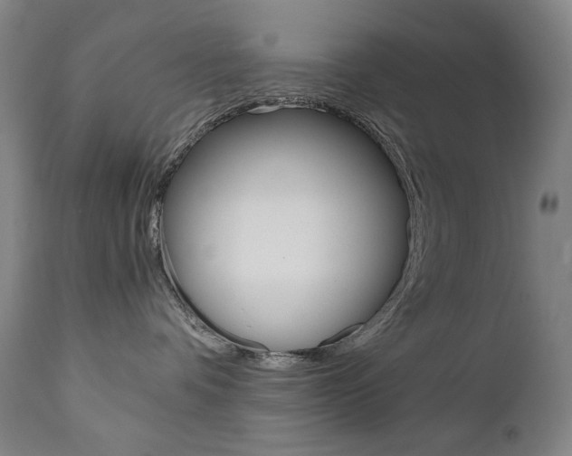 X0000110950336200906191121