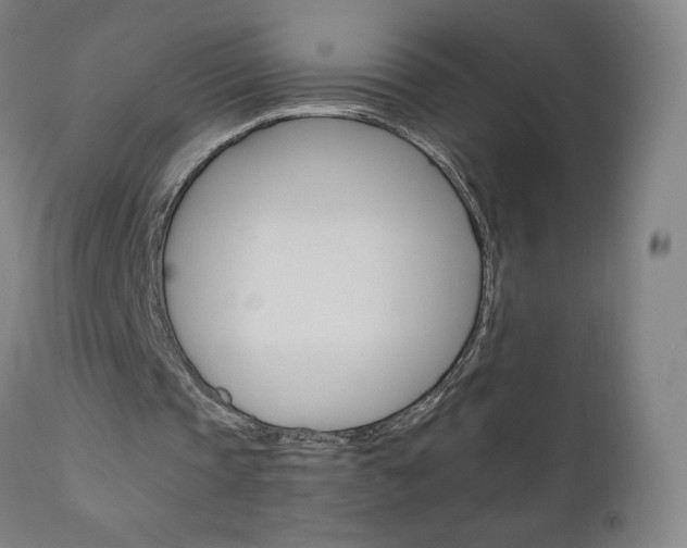 X0000110950337200906191120
