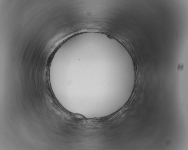 X0000110950338200906191120